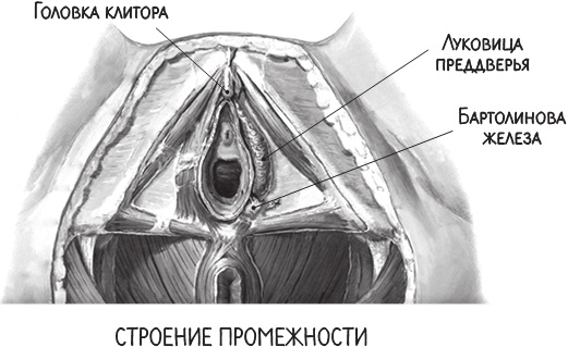 Project Woman. Тонкости настройки женского организма. Узнай, как работает твое тело Project Woman. Тонкости настройки женского организма. Узнай, как работает твое тело