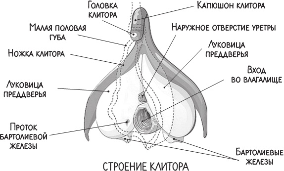Project Woman. Тонкости настройки женского организма. Узнай, как работает твое тело Project Woman. Тонкости настройки женского организма. Узнай, как работает твое тело