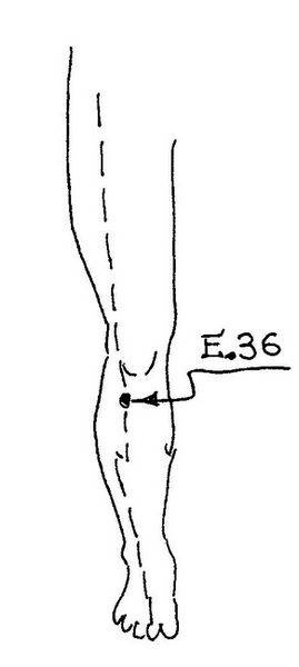 Ци-Гун Пяти зверей. Правда и сказка Ци-Гун Пяти зверей. Правда и сказка
