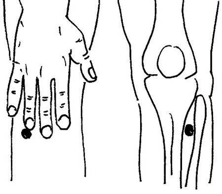 Ци-Гун Пяти зверей. Правда и сказка Ци-Гун Пяти зверей. Правда и сказка