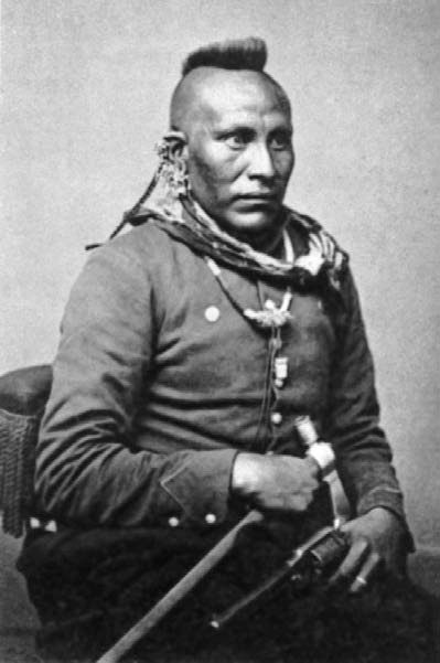 Военное дело индейцев Дикого Запада. Самая полная энциклопедия Военное дело индейцев Дикого Запада. Самая полная энциклопедия