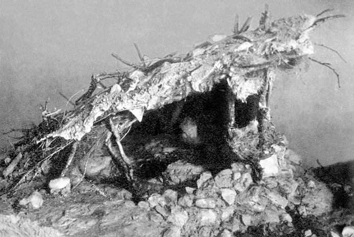 Всеобщая история архитектуры и строительной техники. Учебник. В 3 частях. Часть 1. История архитектуры и строительной техники Древнего и античного мира Всеобщая история архитектуры и строительной техники. Учебник. В 3 частях. Часть 1. История архитектуры и строительной техники Древнего и античного мира