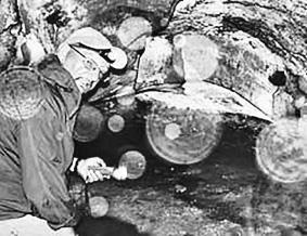Кёнигсберг-13, или Последняя тайна янтарной комнаты Кёнигсберг-13, или Последняя тайна янтарной комнаты
