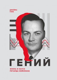 Гений. Жизнь и наука Ричарда Фейнмана - Джеймс Глик - Читать книги онлайн | Слушать аудиокниги онлайн | Электронная библиотека books-lib.com