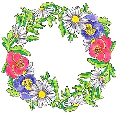 Зимняя сказка Зимняя сказка
