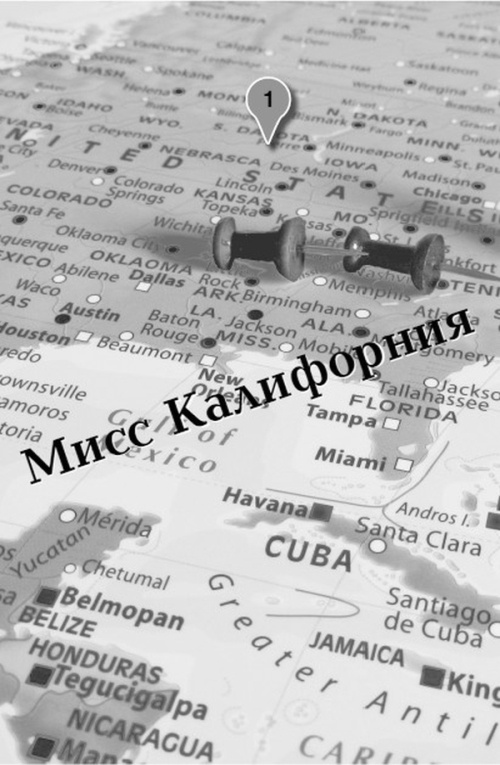 Большое путешествие Эми и Роджера Большое путешествие Эми и Роджера