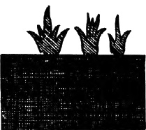 Империя ацтеков. Таинственные ритуалы древних Империя ацтеков. Таинственные ритуалы древних