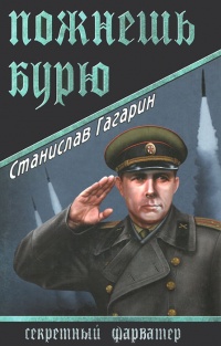 Пожнешь бурю - Станислав Гагарин - Читать книги онлайн | Слушать аудиокниги онлайн | Электронная библиотека books-lib.com