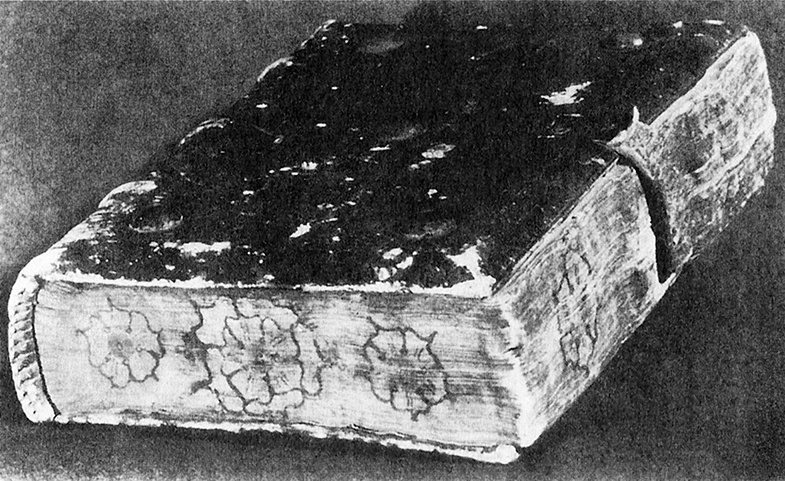 Книга на книжной полке Книга на книжной полке