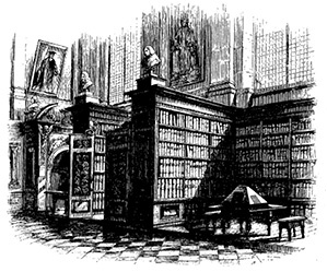 Книга на книжной полке Книга на книжной полке