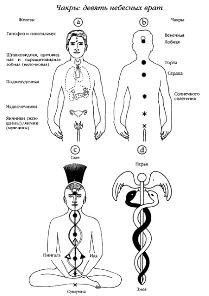 Хранители гробницы Хранители гробницы