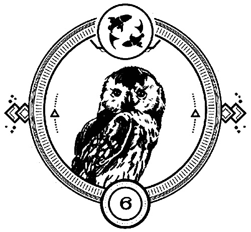 Пандемониум. 4. Букет увядших орхидей Пандемониум. 4. Букет увядших орхидей