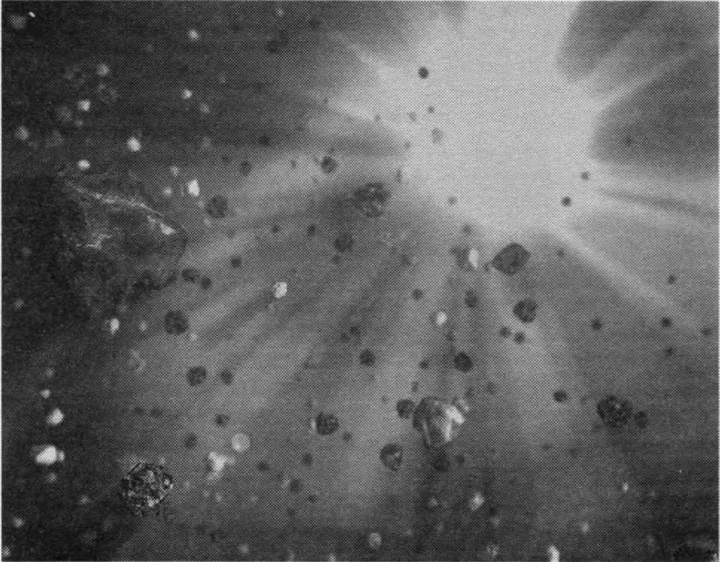 Тайны квантового мира. О парадоксальности пространства и времени Тайны квантового мира. О парадоксальности пространства и времени