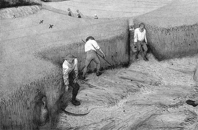 ДНК. История генетической революции ДНК. История генетической революции