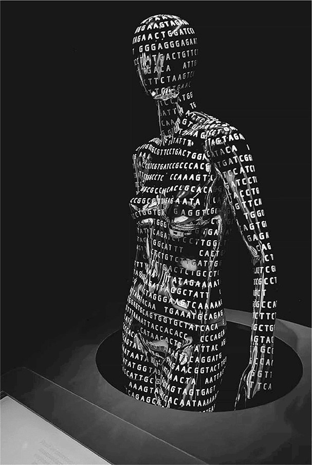 ДНК. История генетической революции ДНК. История генетической революции