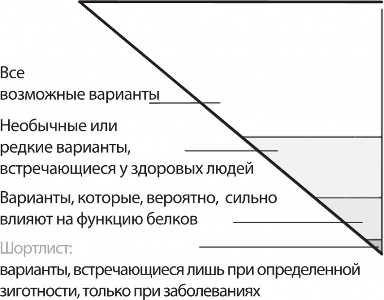 ДНК. История генетической революции ДНК. История генетической революции