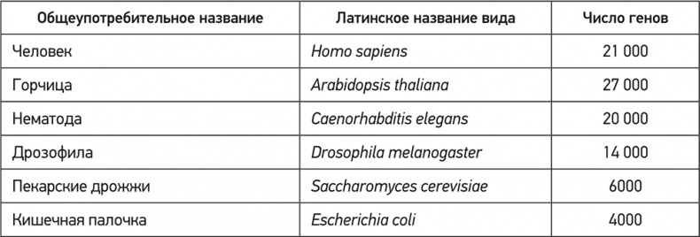 ДНК. История генетической революции ДНК. История генетической революции