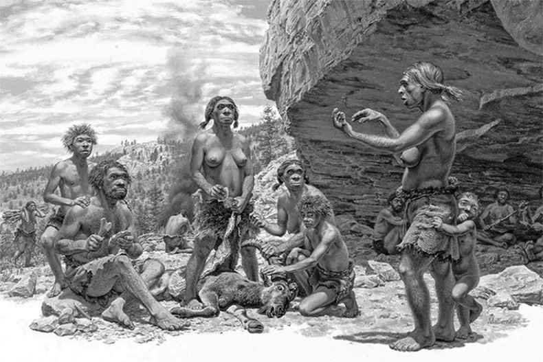 ДНК. История генетической революции ДНК. История генетической революции
