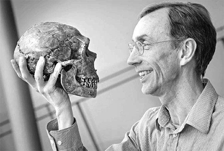 ДНК. История генетической революции ДНК. История генетической революции