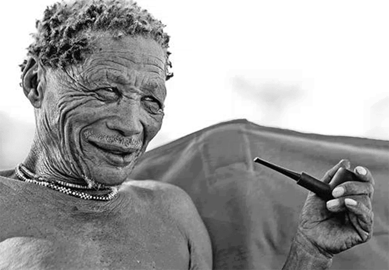 ДНК. История генетической революции ДНК. История генетической революции