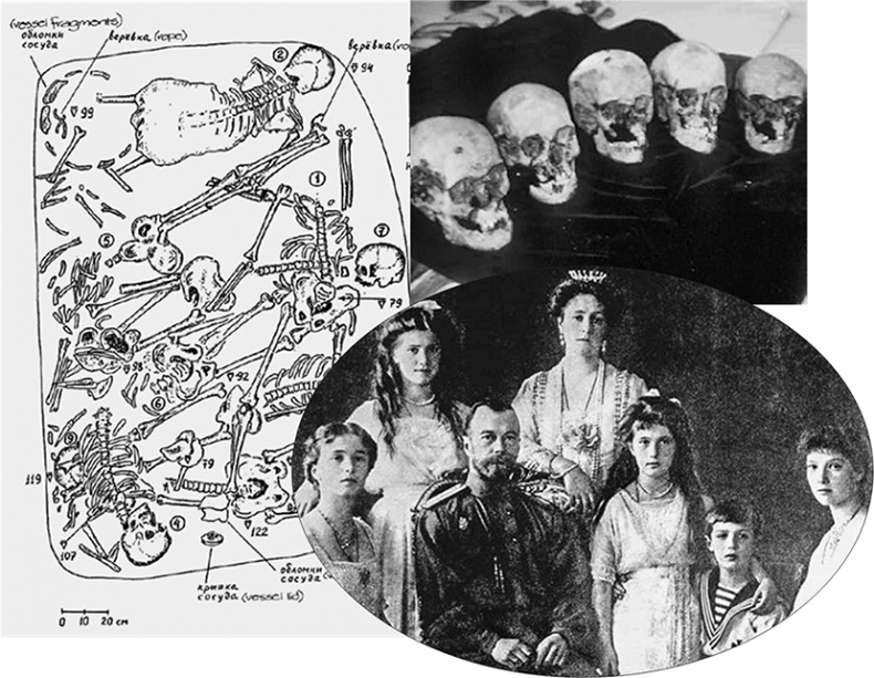 ДНК. История генетической революции ДНК. История генетической революции