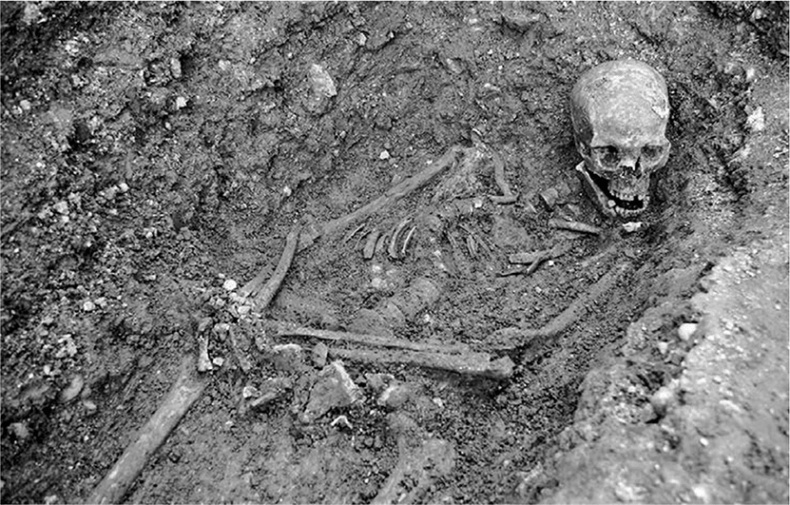 ДНК. История генетической революции ДНК. История генетической революции