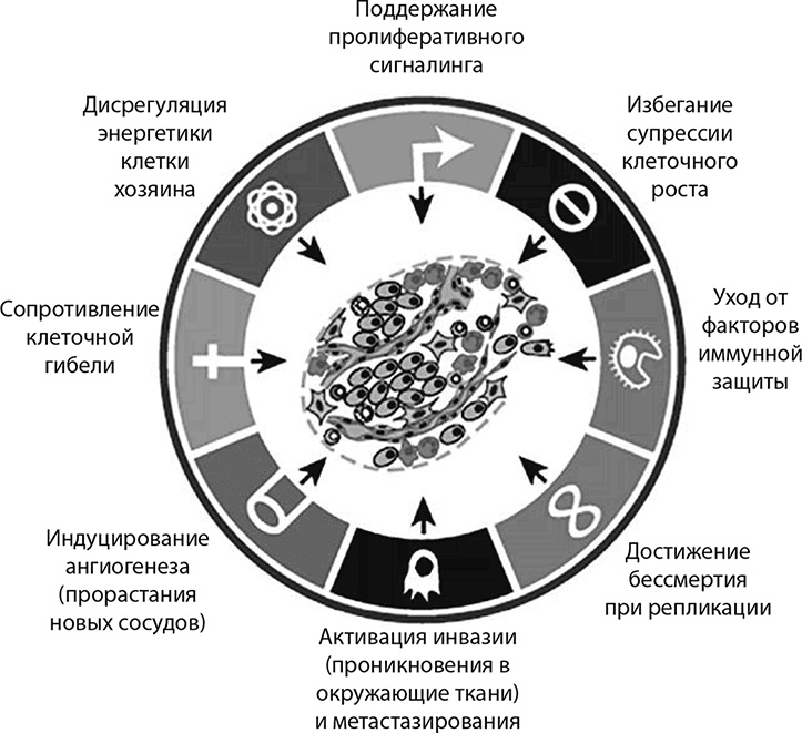 ДНК. История генетической революции ДНК. История генетической революции