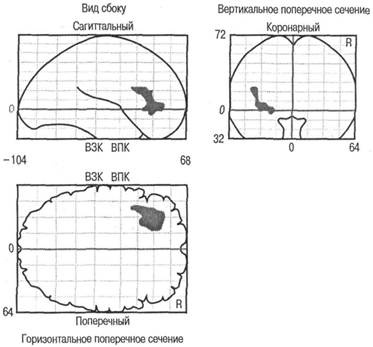 Когнитивная психология Когнитивная психология