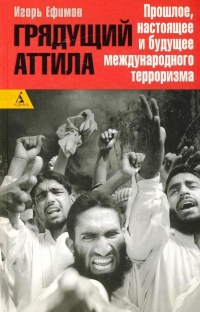 Грядущий Аттила. Прошлое, настоящее и будущее международного терроризма - Игорь Ефимов - Читать книги онлайн | Слушать аудиокниги онлайн | Электронная библиотека books-lib.com