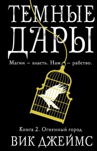 Темные Дары. Книга. 2. Огненный город - Вик Джеймс - Читать книги онлайн | Слушать аудиокниги онлайн | Электронная библиотека books-lib.com