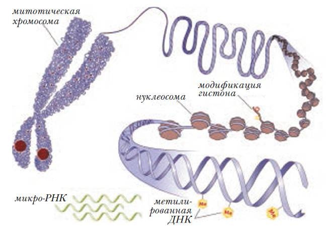Революция растений Революция растений