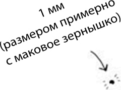 280 дней до вашего рождения. Репортаж о том, что вы забыли, находясь в эпицентре событий 280 дней до вашего рождения. Репортаж о том, что вы забыли, находясь в эпицентре событий
