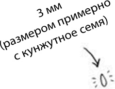 280 дней до вашего рождения. Репортаж о том, что вы забыли, находясь в эпицентре событий 280 дней до вашего рождения. Репортаж о том, что вы забыли, находясь в эпицентре событий