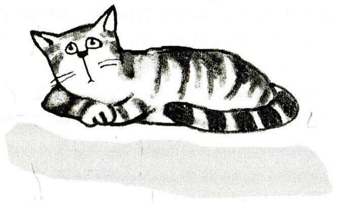 Я всего лишь кошка Я всего лишь кошка