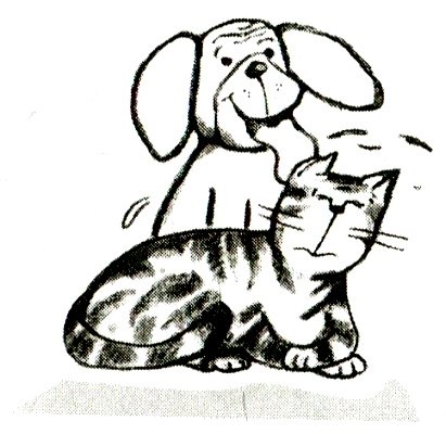 Я всего лишь кошка Я всего лишь кошка