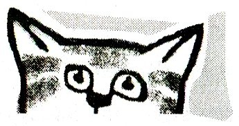Я всего лишь кошка Я всего лишь кошка