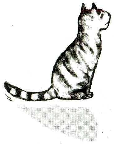 Я всего лишь кошка Я всего лишь кошка