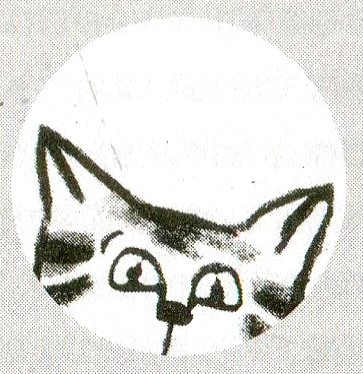 Я всего лишь кошка Я всего лишь кошка