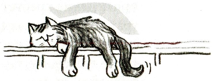 Я всего лишь кошка Я всего лишь кошка