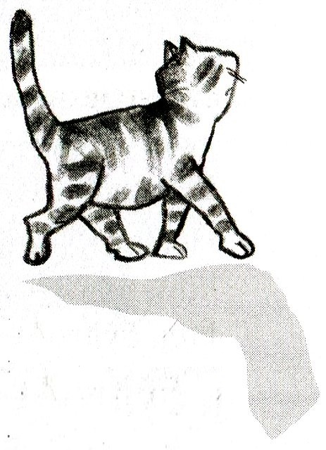 Я всего лишь кошка Я всего лишь кошка