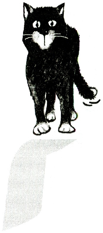 Я всего лишь кошка Я всего лишь кошка