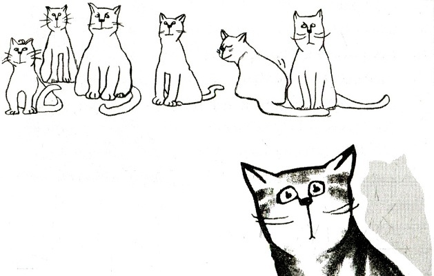 Я всего лишь кошка Я всего лишь кошка