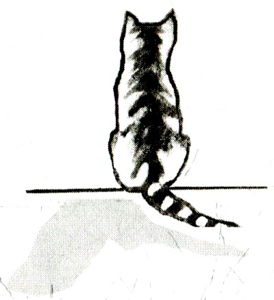 Я всего лишь кошка Я всего лишь кошка