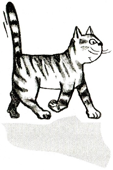 Я всего лишь кошка Я всего лишь кошка