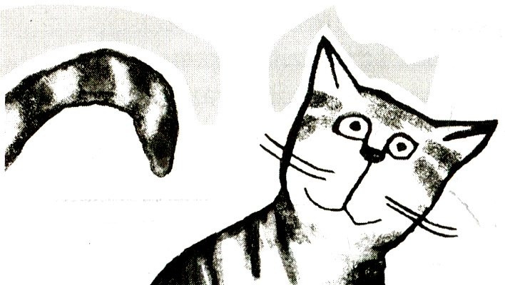 Я всего лишь кошка Я всего лишь кошка