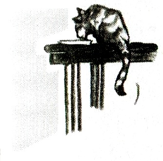 Я всего лишь кошка Я всего лишь кошка