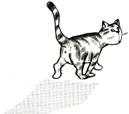 Я всего лишь кошка Я всего лишь кошка