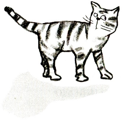 Я всего лишь кошка Я всего лишь кошка