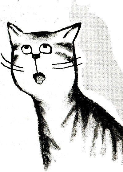 Я всего лишь кошка Я всего лишь кошка