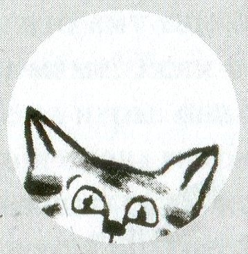 Я всего лишь кошка Я всего лишь кошка